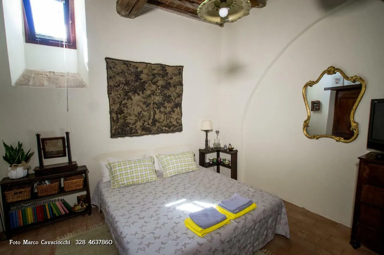 Il Bosso Di Toscana Badia Agnano