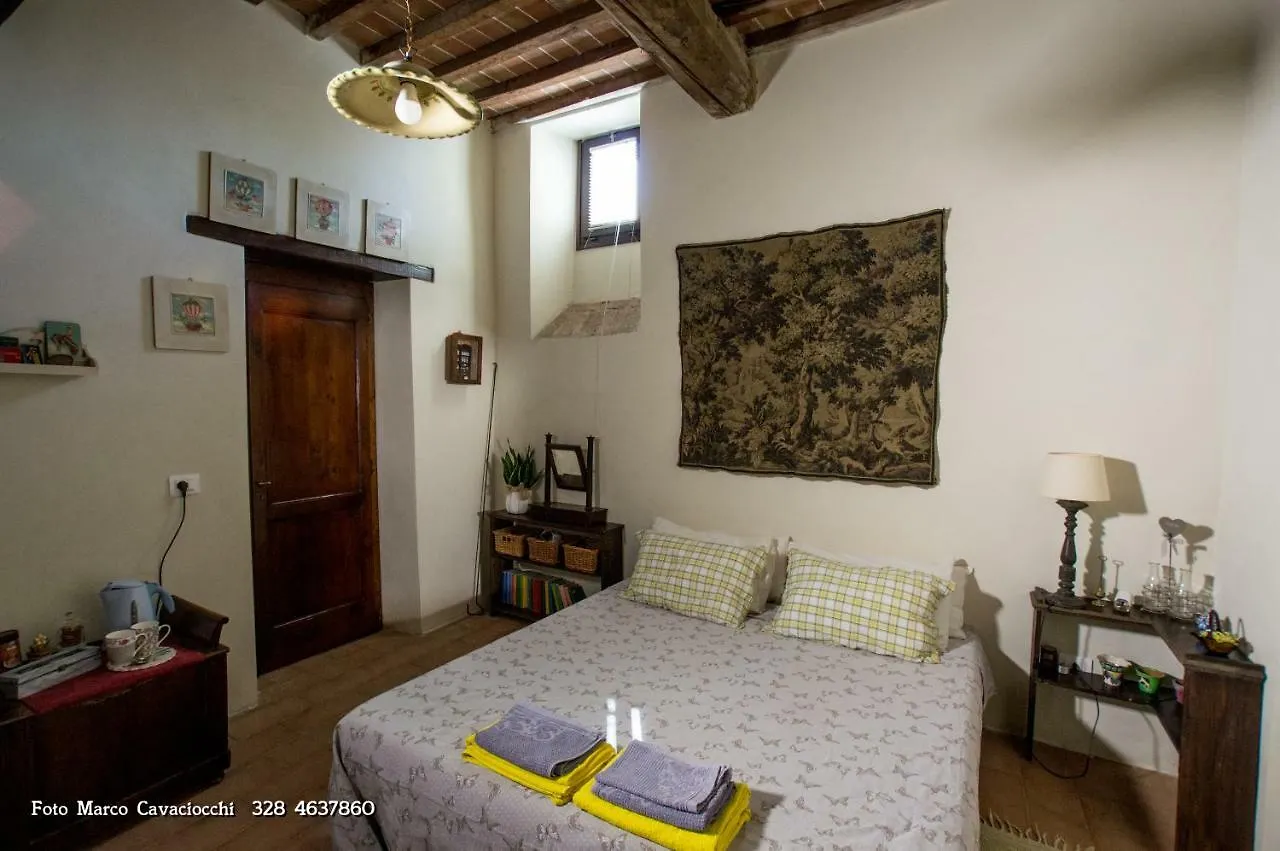 Il Bosso Di Toscana contacts