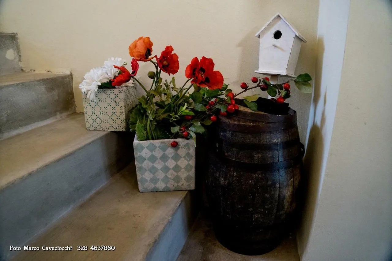 ** Bed & Breakfast Il Bosso Di Toscana Badia Agnano Italy