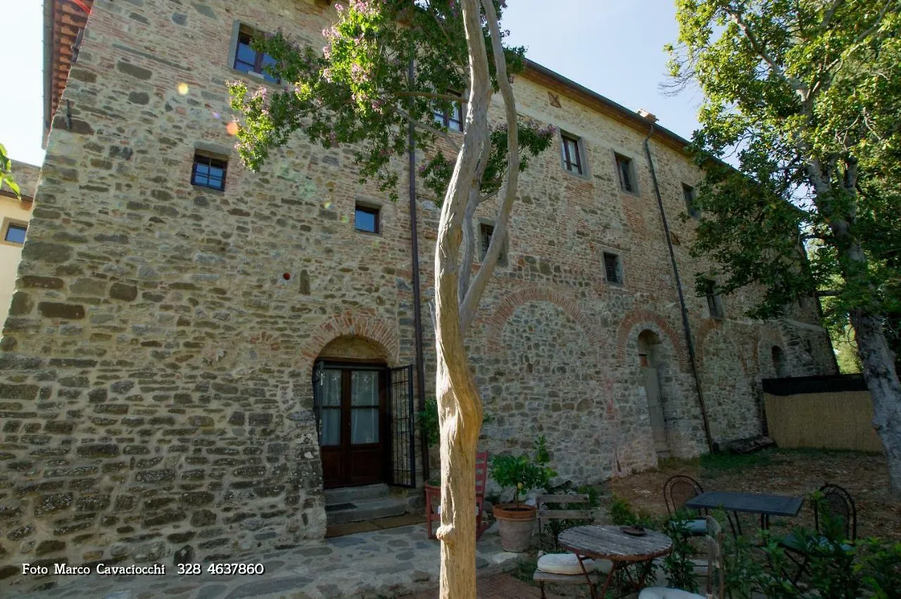 Il Bosso Di Toscana Badia Agnano