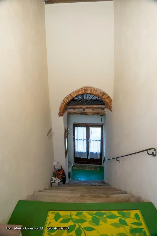 Il Bosso Di Toscana Badia Agnano Bed & Breakfast